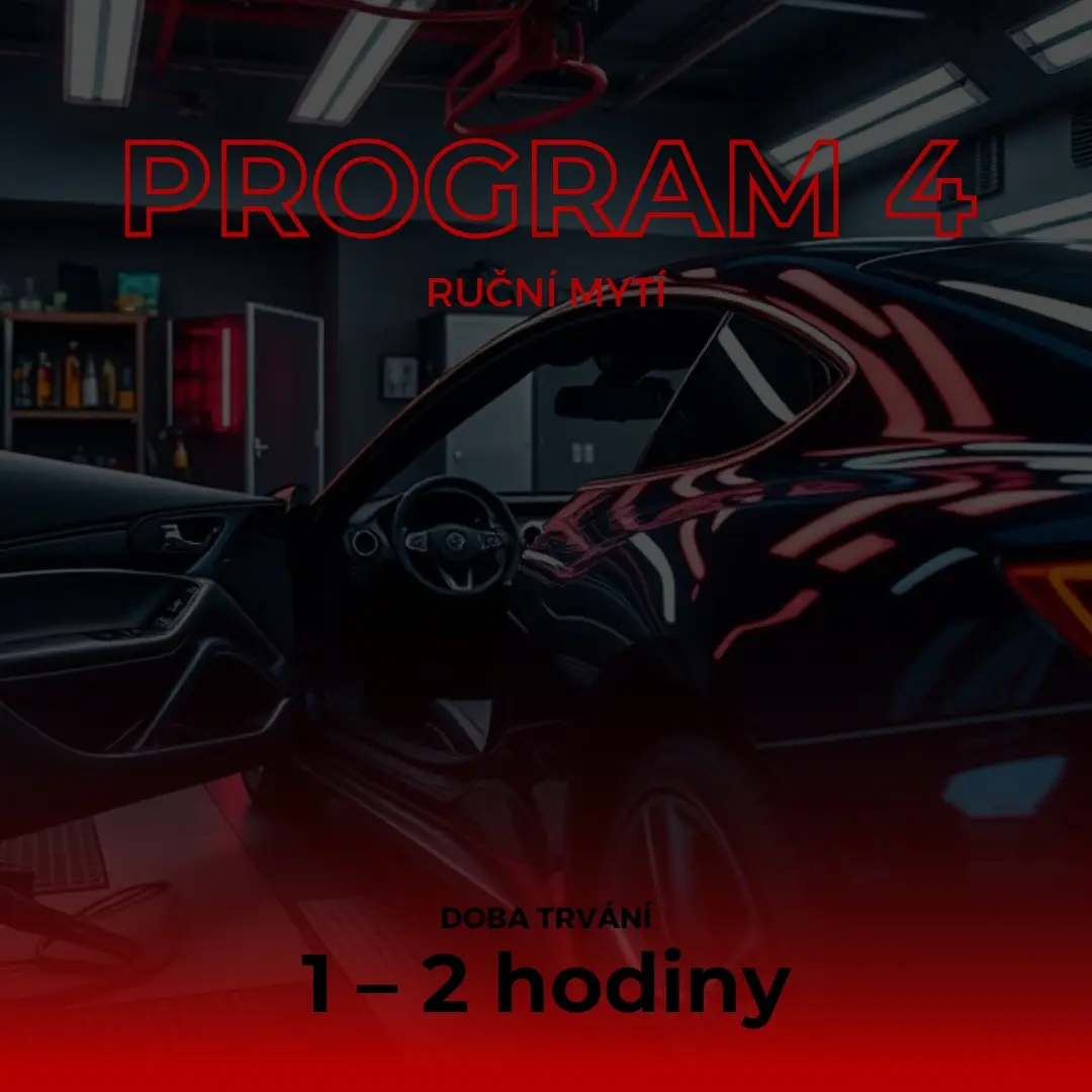 Program 4