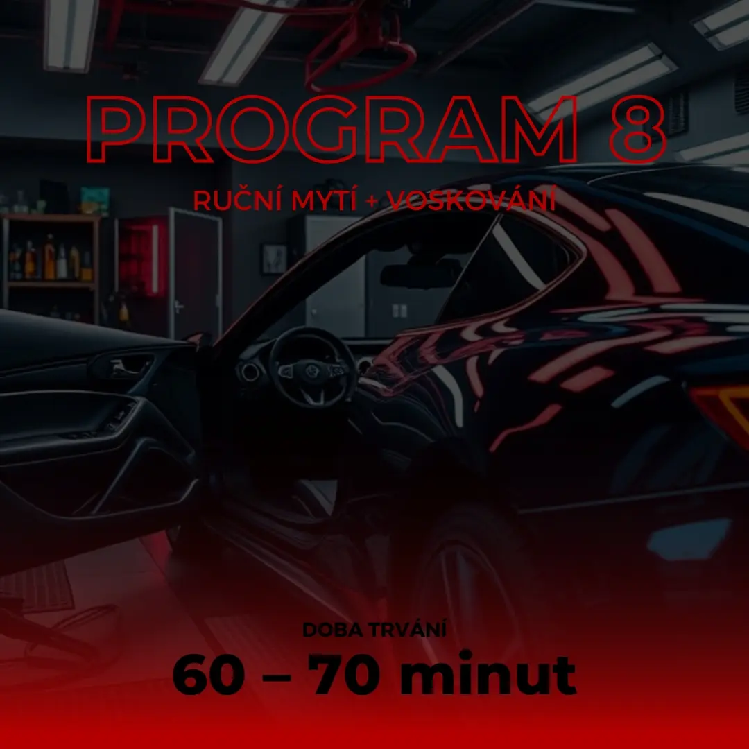 Program 8