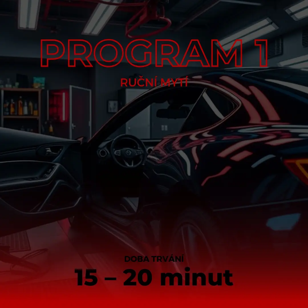 Program 1